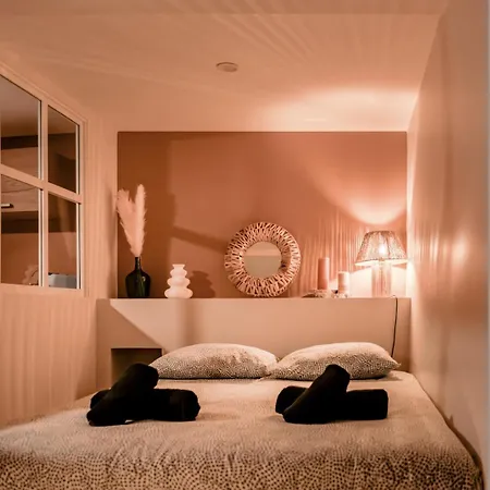 公寓 Chaleureux - Centre Ville, Zenith - Wifi *