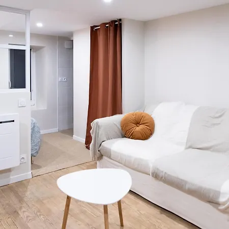Chaleureux - Centre Ville, Zenith - Wifi * 凯恩