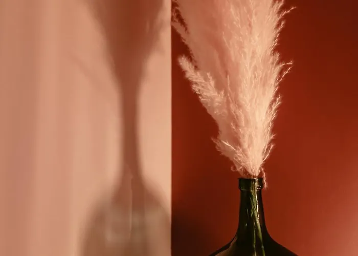 Lejlighed Chaleureux - Centre Ville, Zenith - Wifi Caen