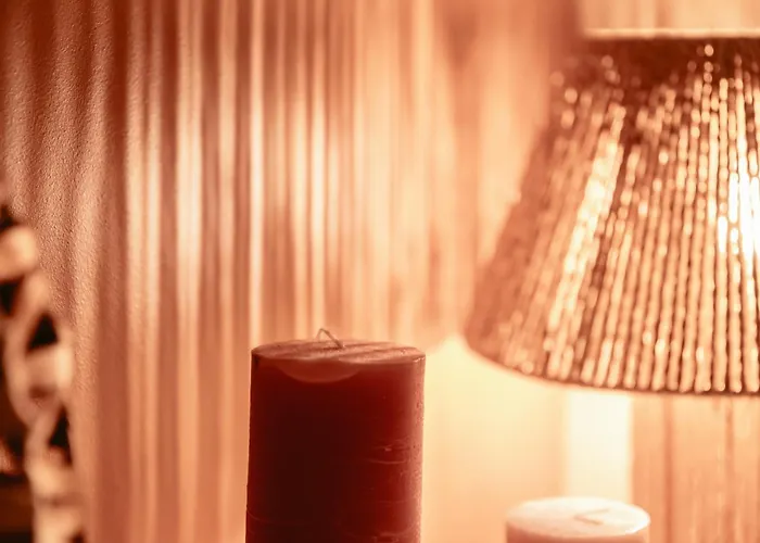 Chaleureux - Centre Ville, Zenith - Wifi Lejlighed